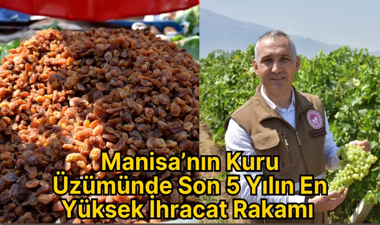 Manisa’nın Kuru Üzümünde Son 5 Yılın En Yüksek İhracat Rakamı