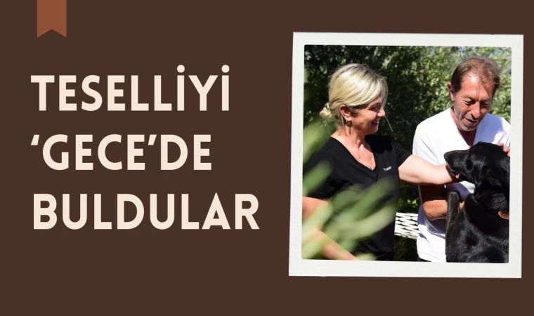 Teselliyi ‘Gece’de buldular