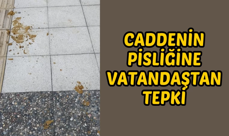 Caddenin pisliğine vatandaştan tepki