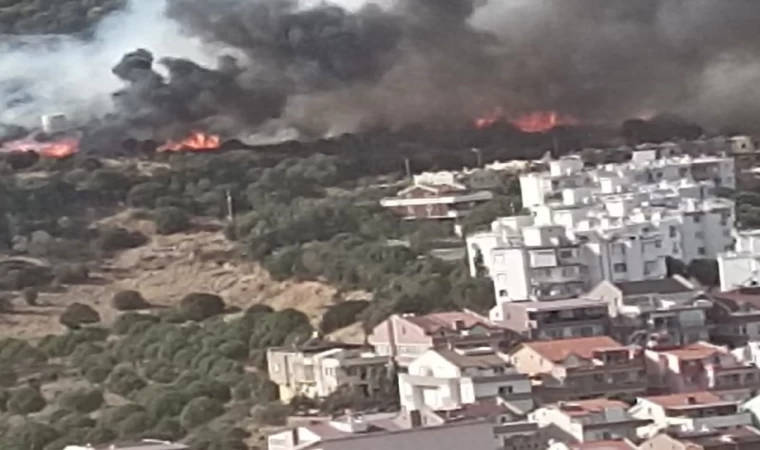 İzmir'de ormanlık alandaki yangın kontrol altında