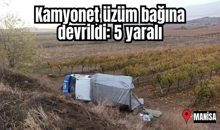 Kamyonet üzüm bağına devrildi: 5 yaralı