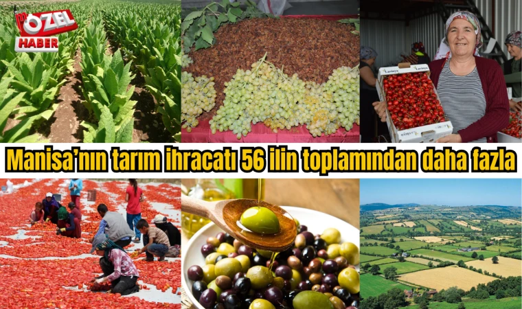 Manisa’nın tarım ihracatı 56 ilden daha fazla gerçekleşti