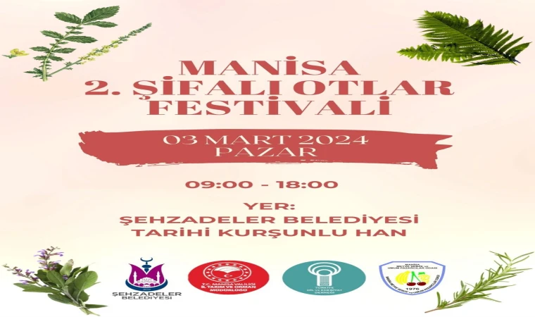 Manisa’nın şifalı otları 2. Şifalı Otlar Festivalinde görücüye çıkacak 