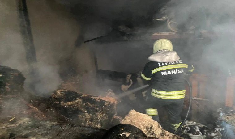 Koyunları telef olmaktan itfaiye ekipleri kurtardı