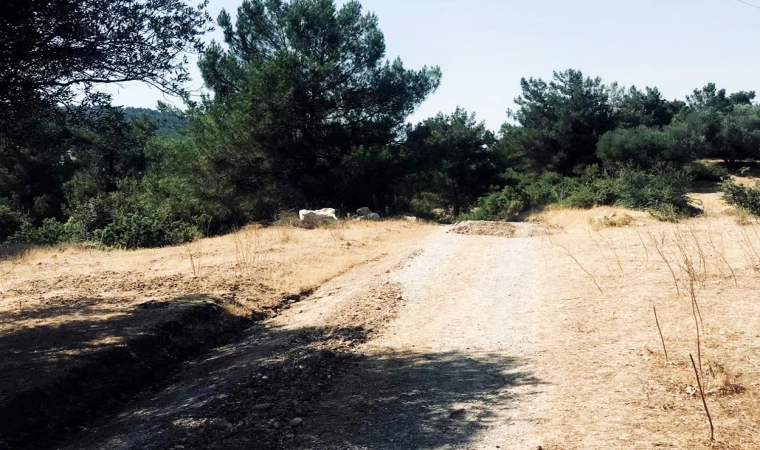 Çınarlıkuyu Mahallesi'nde ova yollarında bakım ve onarım çalışması gerçekleştirdi