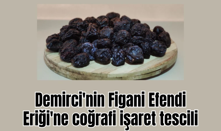 Demirci'nin Figani Efendi Eriği'ne coğrafi işaret tescili