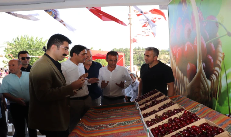 Geleneksel Kiraz Festivalinde coşkulu kutlama