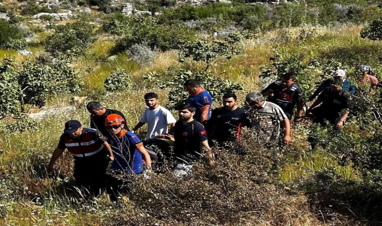 Hayvanları otlatırken kayalıklardan düştü