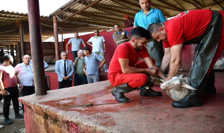 Kurban kesim eğitimi verildi