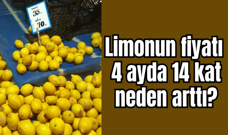 Limonun fiyatı 4 ayda 14 kat neden arttı?