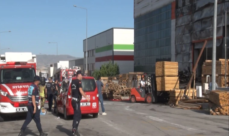 Palet fabrikasında korkutan yangın