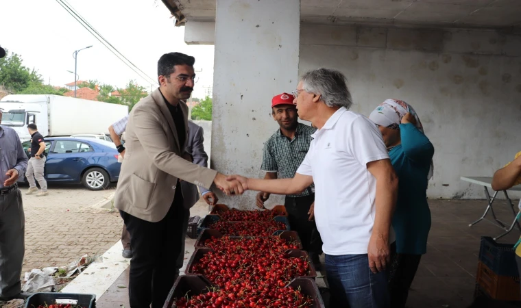 Selendi'de kiraz hasadı devam ediyor