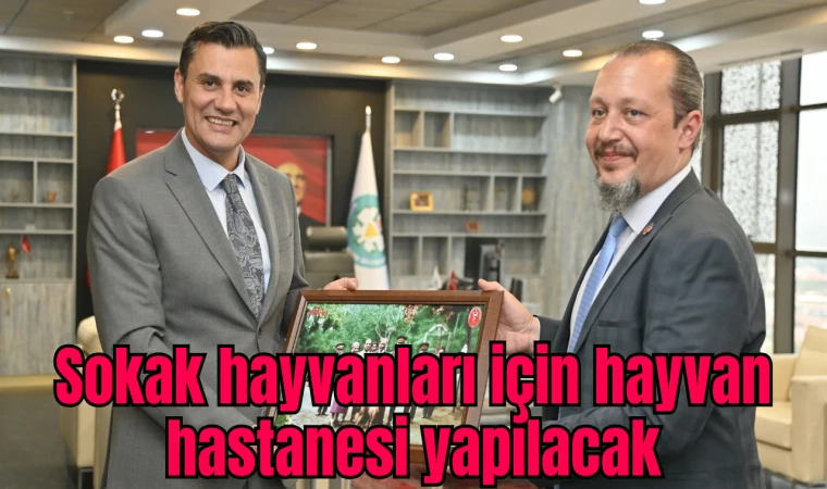 Sokak hayvanları için hayvan hastanesi yapılacak