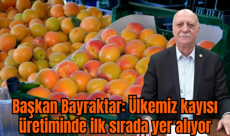 Ülkemiz kayısı üretiminde ilk sırada yer alıyor