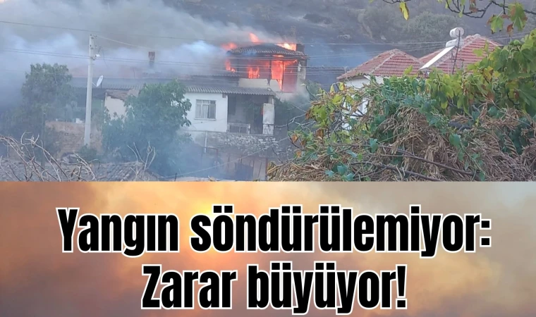 Yangın söndürülemiyor: Zarar büyüyor!