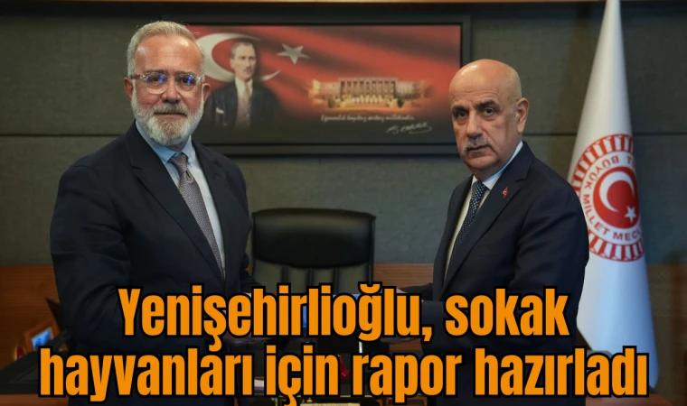 Yenişehirlioğlu, sokak hayvanları için rapor hazırladı