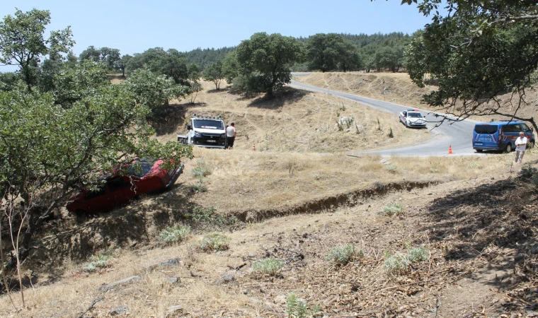 Yoldan çıkan araç ağaca çarparak durabildi