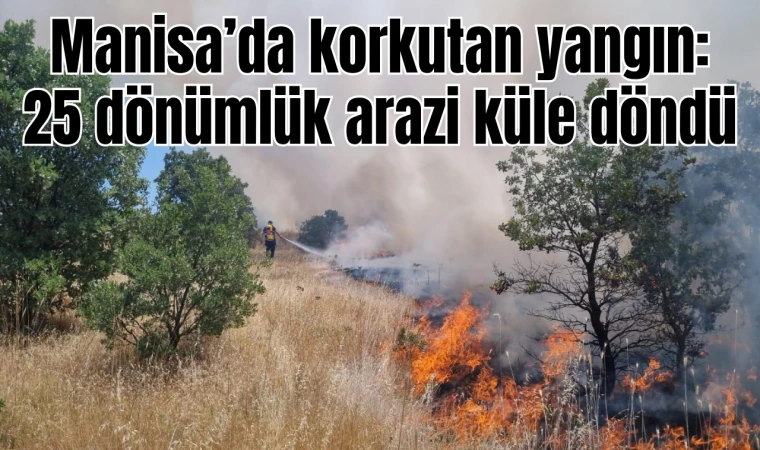 Yunusemre'de korkutan orman yangını