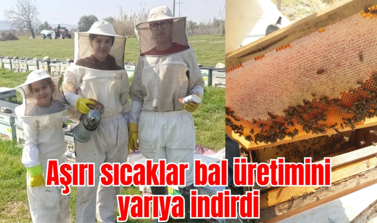 Aşırı sıcaklar bal üretimini yarıya indirdi