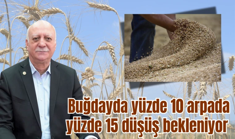 Buğdayda yüzde 10 arpada yüzde 15 düşüş bekleniyor 