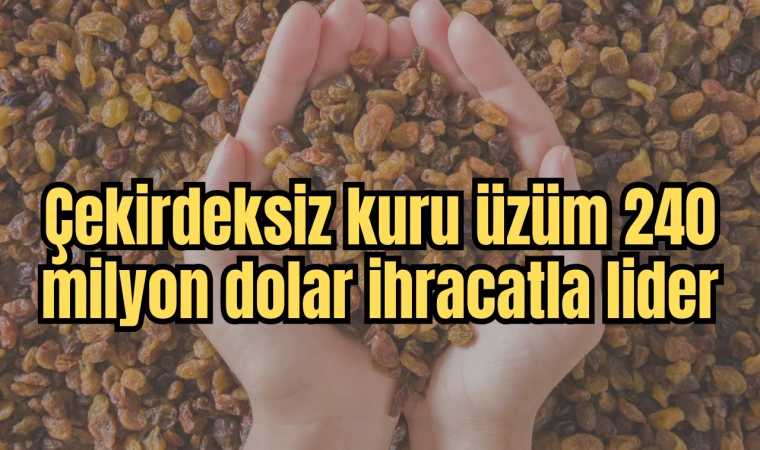 Çekirdeksiz kuru üzüm 240 milyon dolar ihracatla lider