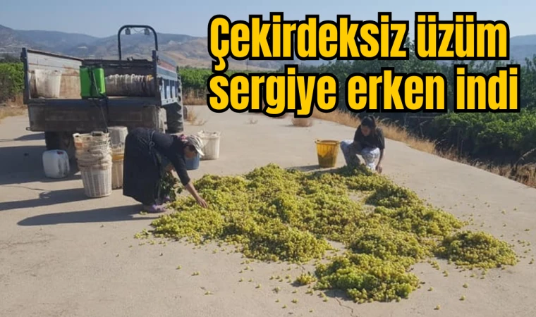 Çekirdeksiz üzüm sergiye erken indi