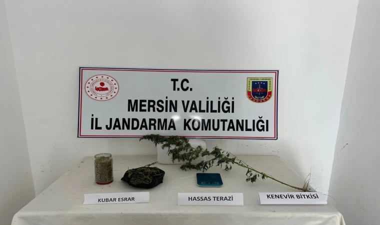 Jandarmadan uyuşturucu operasyonu