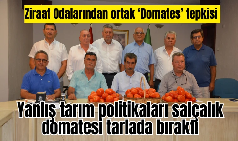 Ziraat Odalarından ortak ‘Domates’ tepkisi