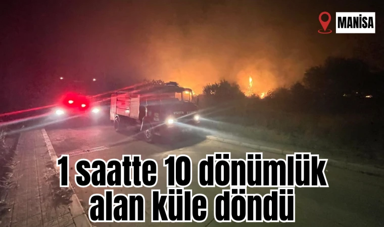 1 saatte 10 dönümlük alan küle döndü