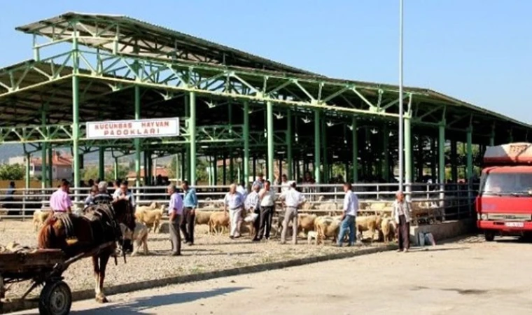 Canlı hayvan pazarı bakın niye kapatılmış