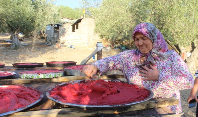 Doğal ev salçası sağlık ve lezzet sunuyor