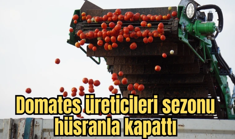 Domates üreticileri sezonu hüsranla kapattı