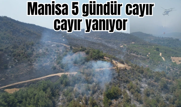 Manisa 5 gündür cayır cayır yanıyor