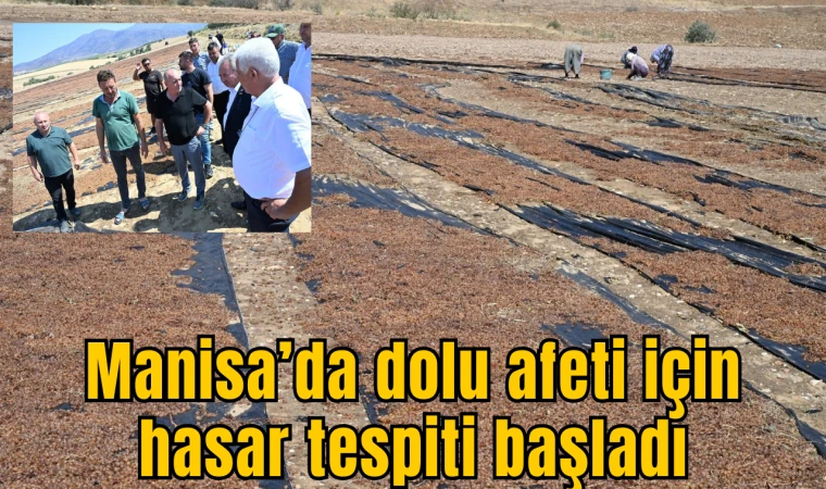 Manisa’da dolu afeti için hasar tespiti başladı