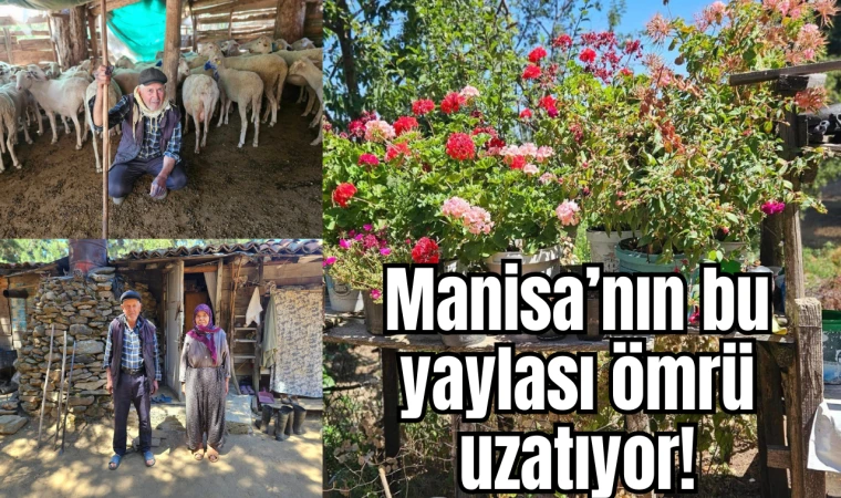 Manisa’nın bu yaylası ömrü uzatıyor!