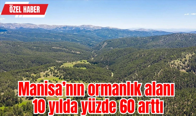 Manisa’nın ormanlık alanı 10 yılda yüzde 60 arttı