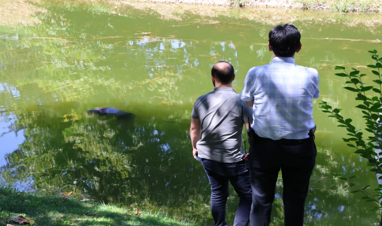 Porsuk çayında erkek cesedi bulundu