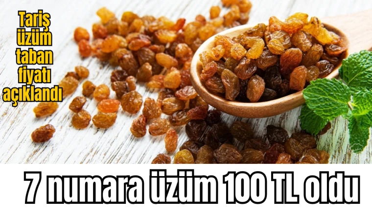 Tariş üzüm taban fiyatı açıklandı  7 numara üzüm 100 TL oldu 