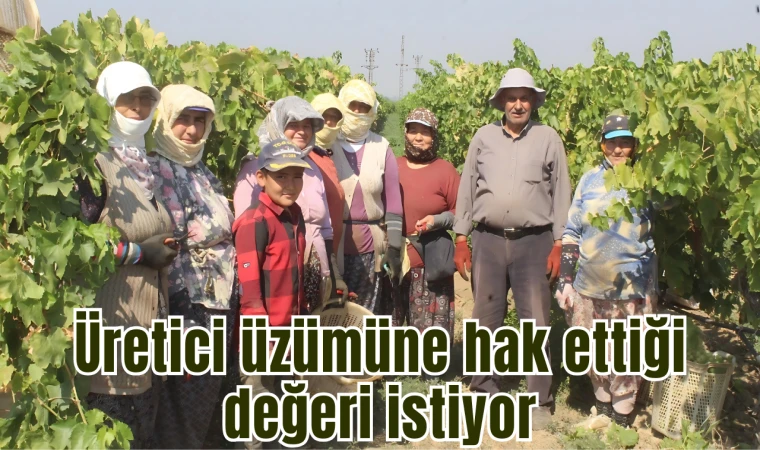 Üretici üzümüne hak ettiği değeri istiyor