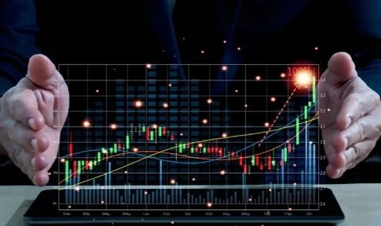 2023’te 20 bin 110 mali aracı kuruluş faaliyette bulundu