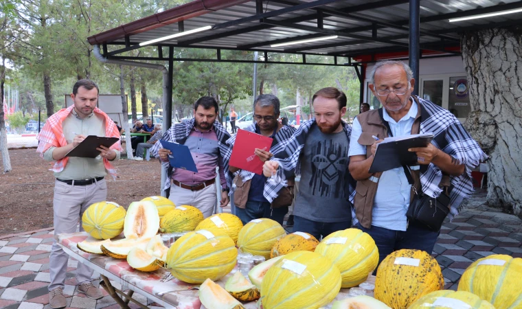 En iyi kavunu ben yetiştirdim diyenler kıyasıya yarıştı