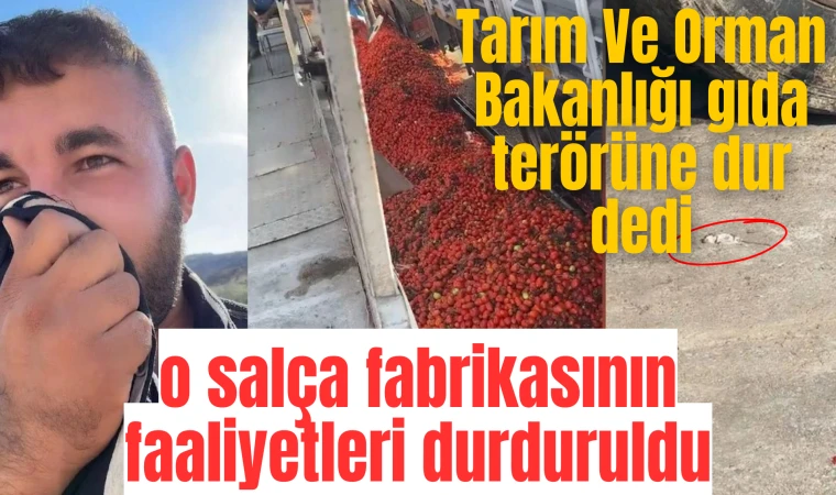 Manisa’daki salça fabrikasının faaliyetleri durduruldu 