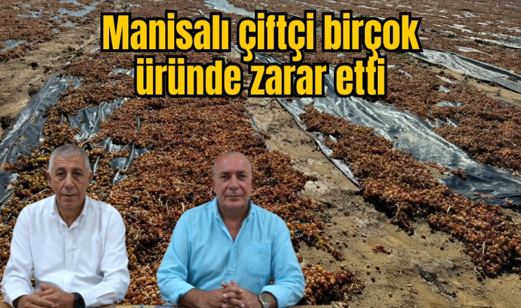 Manisalı çiftçi birçok üründe zarar etti