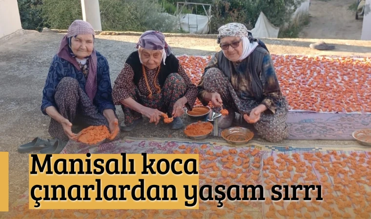 Manisalı koca çınarlardan yaşam sırrı