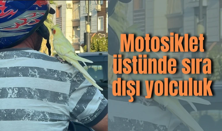 Motosiklet üstünde sıra dışı yolculuk