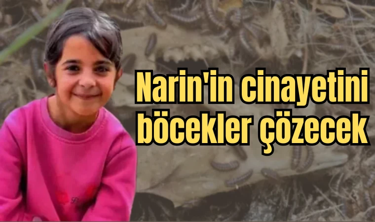 Narin'in cinayetini böcekler çözecek