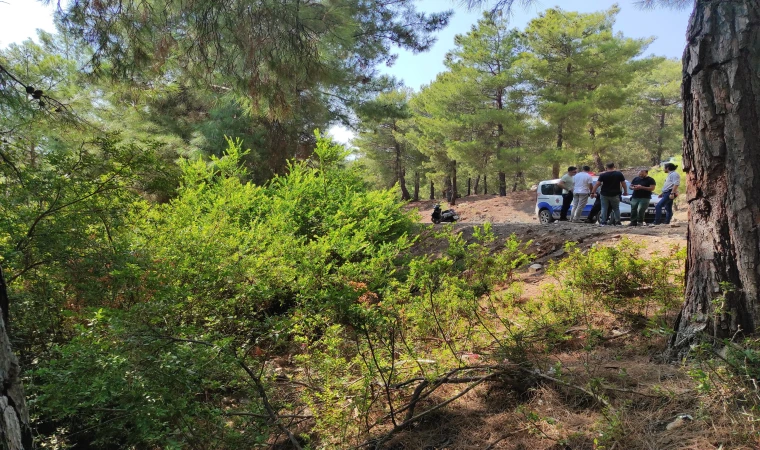 Ormanda terk edilmiş bebek bulundu