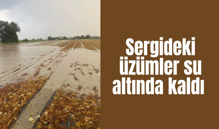 Sergideki üzümler su altında kaldı 