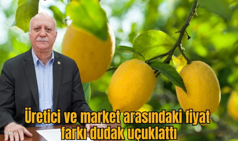 Üretici ve market arasındaki fiyat farkı en fazla yüzde 370,4 ile limonda