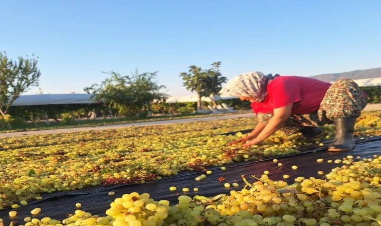 Üzümcü meteorolojiden gelecek haberi bekliyor